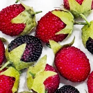 20 Vintage Glass Beaded Strawberries - Cottagecore Shabby Charm